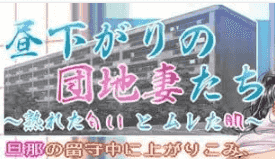 【ADV/AI汉化/#CV】午后住宅区的人妻们～成熟的气息与微汗的肌肤～【电脑/895M】