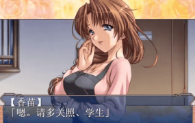 【AVD类型/AI汉化】妻中蜜1.v1.0.0【PC/1G】